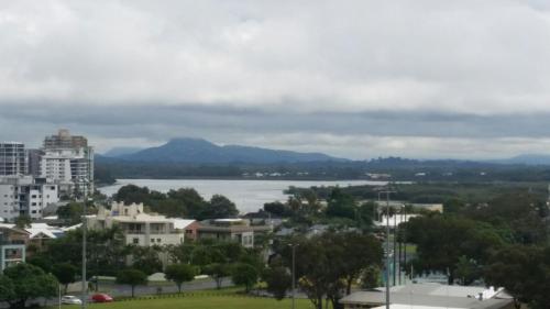 Verve on Cotton Tree