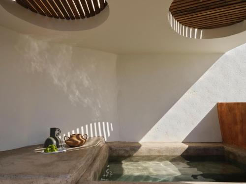 Andronis Luxury Suites - image 11
