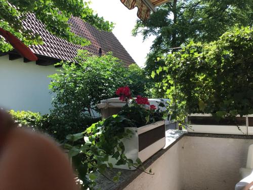 Ferienwohnung Laudenbach in Laudenbach (Rhein-Neckar)