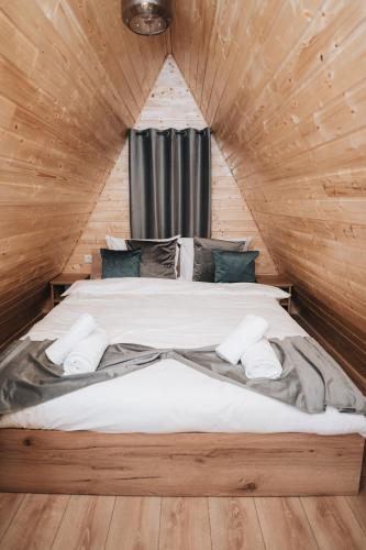 The DREAM A-frame Cabin in Arpasu de Sus