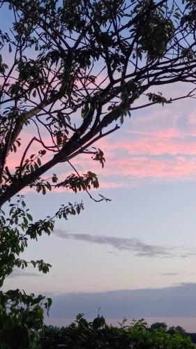 strandhuis De Bakkeete A in 金帕蘭