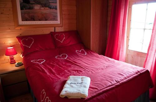 Lodge with HotTub-Garden-PetsOK-Bbq-MountainViews, Brecon (foto 7)