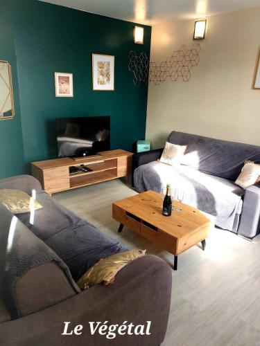 Les Belles Terrasses Dieppe ,3 appartements , LE VEGETAL de 1 à 8 personnes , LE TROPICAL de 1 à 6 personnes , LE FLORAL avec TERRASSE de 1 à 3 personnes , quartier calme au stationnement gratuit à coté de l'avenue verte