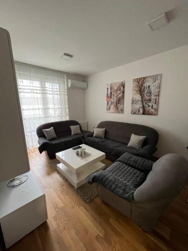 EXIT stan na dan Novi Sad