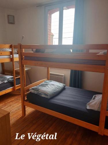 Les Belles Terrasses Dieppe ,3 appartements , LE VEGETAL de 1 à 8 personnes , LE TROPICAL de 1 à 6 personnes , LE FLORAL avec TERRASSE de 1 à 3 personnes , quartier calme au stationnement gratuit à coté de l'avenue verte