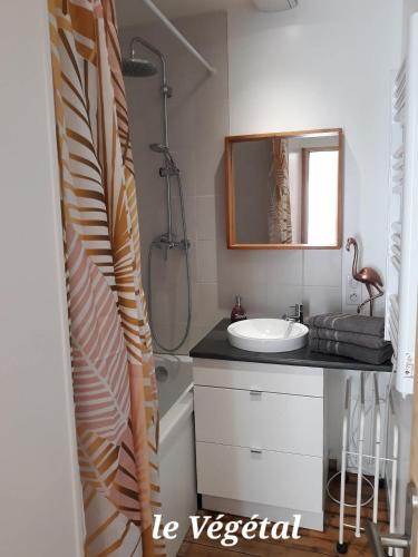 Les Belles Terrasses Dieppe ,3 appartements , LE VEGETAL de 1 à 8 personnes , LE TROPICAL de 1 à 6 personnes , LE FLORAL avec TERRASSE de 1 à 3 personnes , quartier calme au stationnement gratuit à coté de l'avenue verte