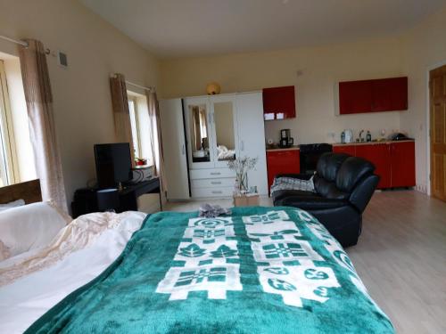 Glenbarrow Lodge in Mountmellick