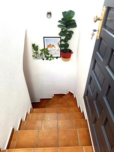 Bellavista Basement 5