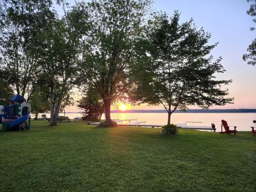 3-Bedroom Cottage on Balsam Lake in Kawarthas #14 in Rosedale (ON)