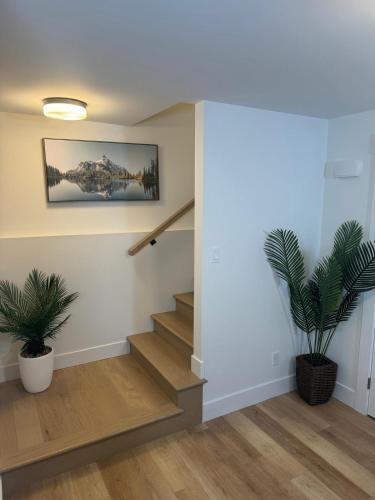 One bedroom Apt in Riverview in Монктон (Нью-Брансвік)