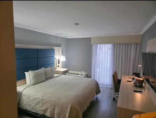 All Seasons Resort - image 12
