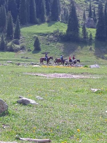 Elmar Etno Yurt Hostel in Teploklyuchenka