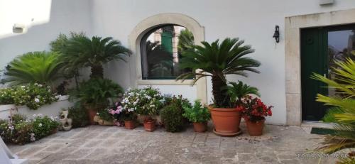 Casa Adele - Dimora del 1700 nel centro storico, Martina Franca (zdjęcie 4)