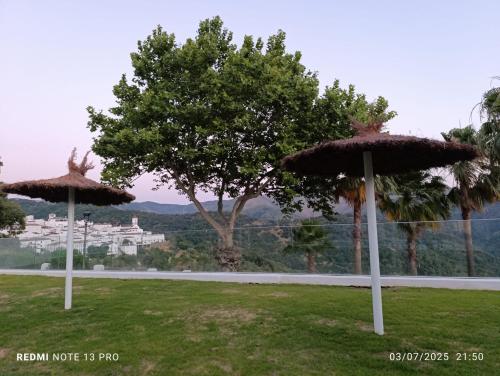 泳池, Ar2N San Pedro 8 in 赫納爾古亞西爾