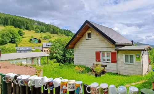 ทัศนียภาพภายนอกโรงแรม, Ferienhütte Ilmtalblick (Ferienhutte Ilmtalblick) in อิลเมเนา