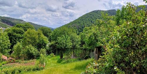 สภาพแวดล้อมโดยรอบ, Ferienhütte Ilmtalblick (Ferienhutte Ilmtalblick) in อิลเมเนา
