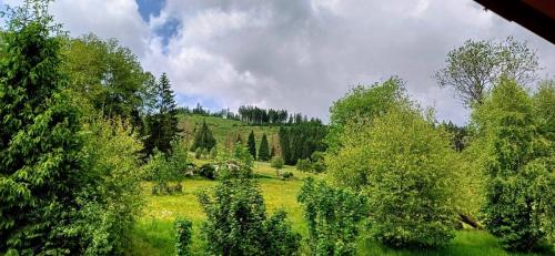 สภาพแวดล้อมโดยรอบ, Ferienhütte Ilmtalblick (Ferienhutte Ilmtalblick) in อิลเมเนา