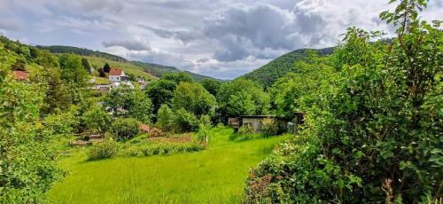 สภาพแวดล้อมโดยรอบ, Ferienhütte Ilmtalblick (Ferienhutte Ilmtalblick) in อิลเมเนา