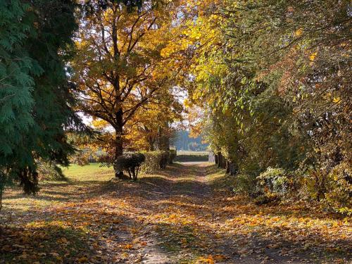 Létesítmények, Apartament w Zabytkowej Stajni nad Jeziorem z Dostepem do Parku i Sasiedztwem XIX wiecznego Dworku M in Steklin