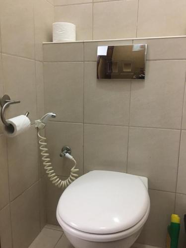 שלוות חן in 戈蘭高地
