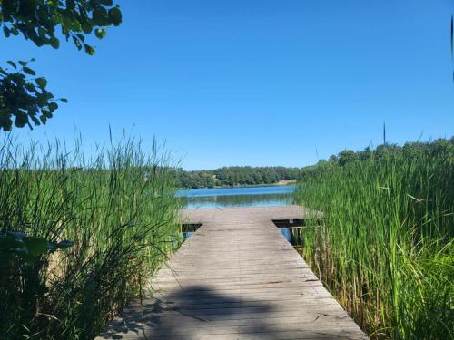 Apartament Ola