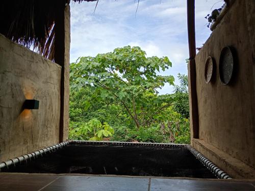 Вид, The Valley Tayrona hostel- A social jungle hostel in Калабазо