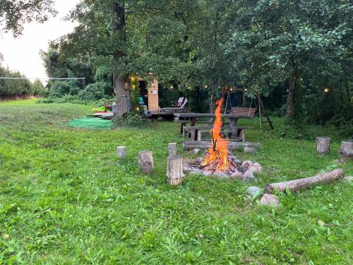 Glamping w sercu mazur z prywatną plażą