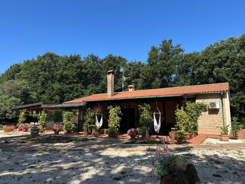 Agriturismo Antiglia - Sorano
