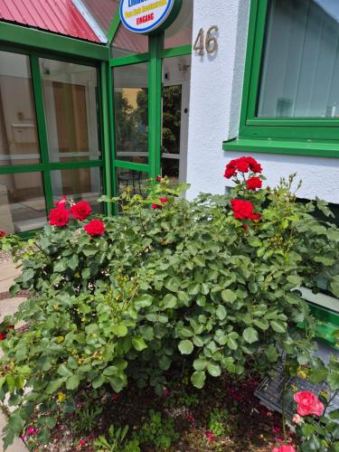 Hotel Lindenthal - image 10