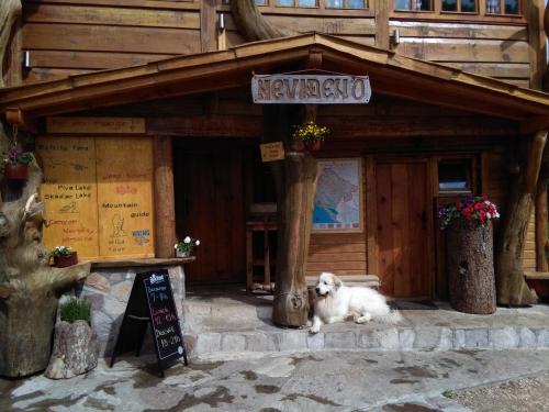 Guesthouse Planinarski dom Neviđen'o - image 9