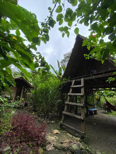 La Aldea del Primitivo in Nuqui