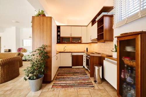 Olive Retreat in Oropos (Attiki)