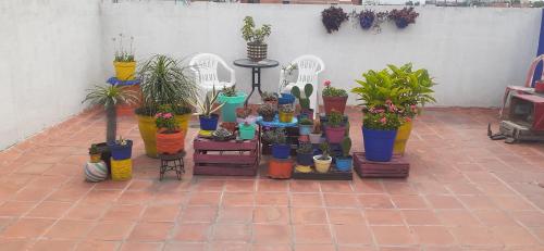 Rooftop Paradise Central Location, Scenic Views in Mexico City, Mexico