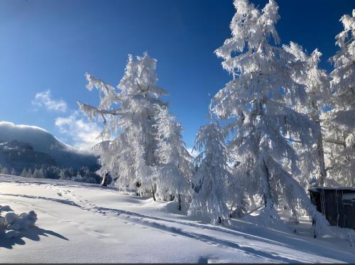 Hike & Ski-in Ski-out Mountain View Apartment for Family & Friends, Hinterstoder (fotografie 5)