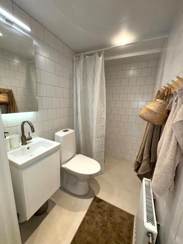 Apartment in Gothenburg close to city and sea, Göteborg (foto 5)