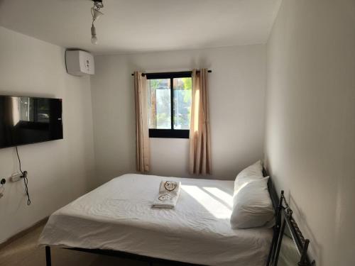 Two-Bedroom Apartment image 4