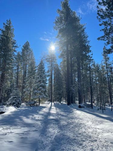 Twin pines lodge #2458 in Big Bear Lake, USA