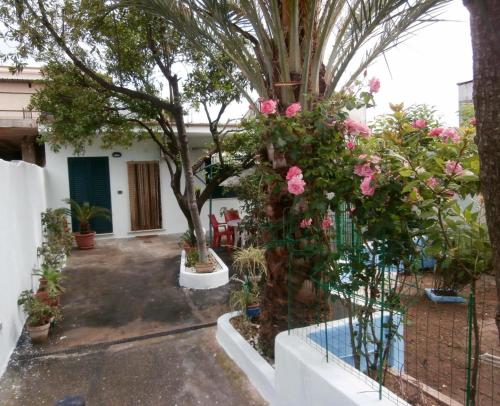 Verdemare chambre d'hôte Cellole