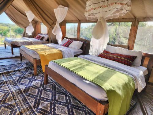 Kambu Mara Camp Room Type - Extended Family Tent