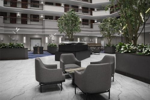 Embassy Suites by Hilton Dallas Near the Galleria - image 10