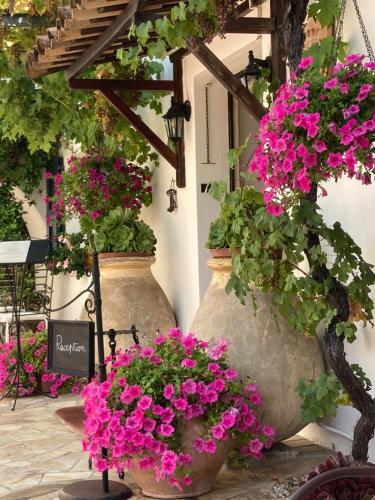 Le Hameau - image 12