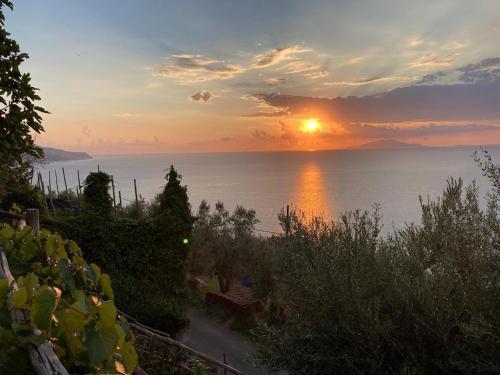 SunsetOnBlu - A dream by the sea 2, Massa Lubrense (photo 5)