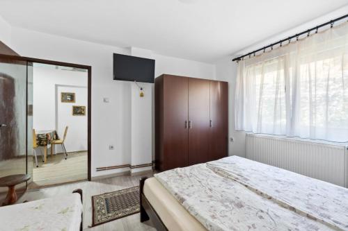Apartmani Sokobanja Alexandar - image 3