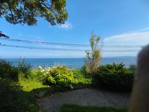 旅館青柳 海越し立山連峰の雪山絶景で休もう