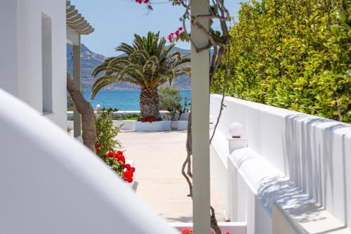 Moustakas Beach Apartments in Milos Island