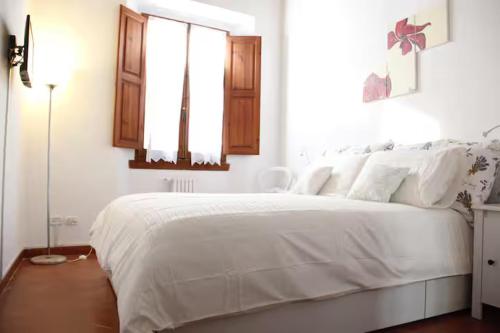 Apt S Maria near Boboli e Santo Spirito, Florence