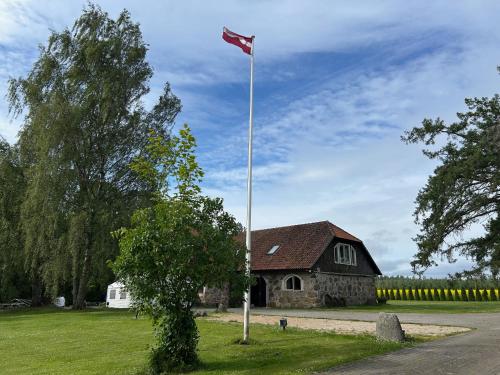 Denderi in Vaidava