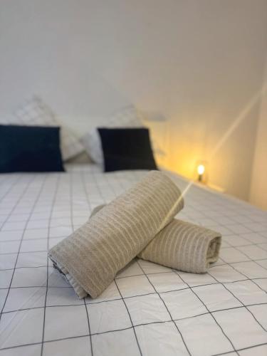 Le Cocon des Peintres 1 bedroom of Lyon, Lyon (fotografie 4)