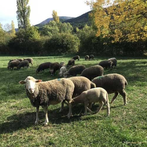 周邊環境, La Galane in 烏韋茲河畔聖奧邦