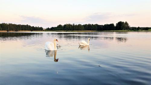 Apkārtne, MAZURY - Dom na jeziorem in Nowy Zyzdrój